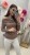 IMG_6320.jpeg